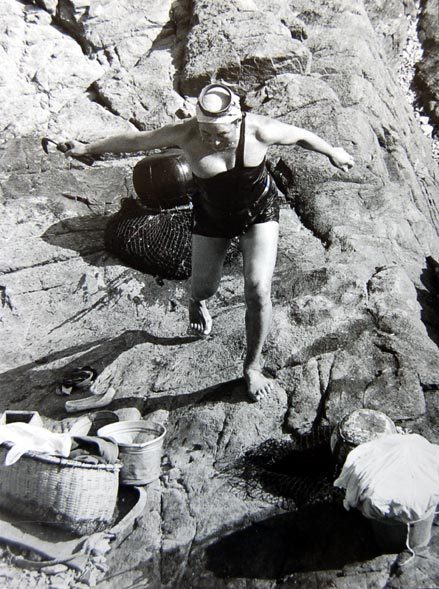 1966