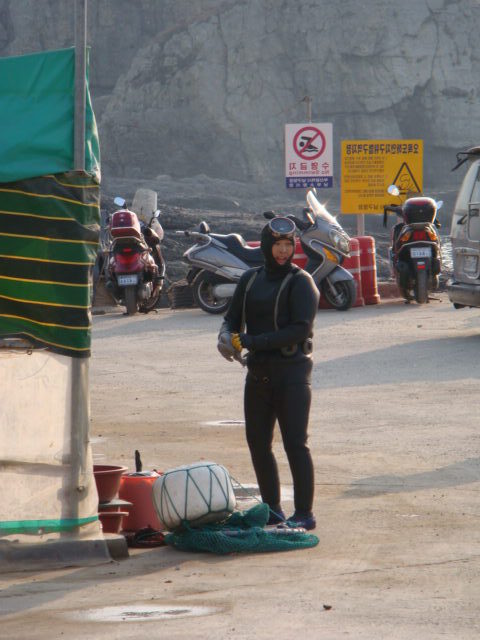 2009 (4)