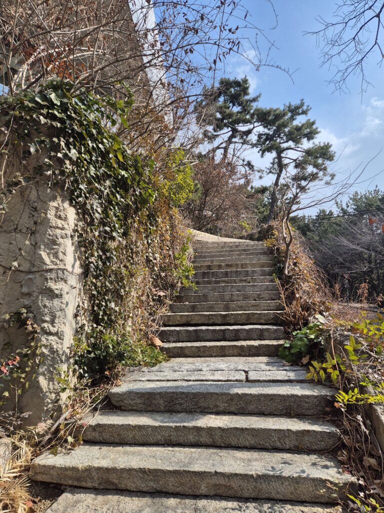 조현화랑