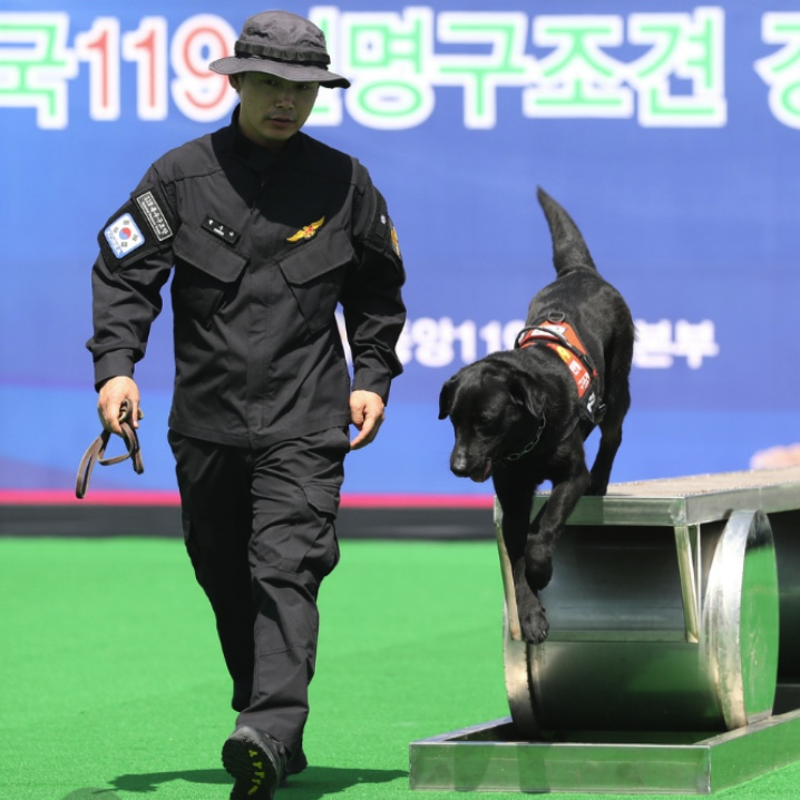 훈련 중인 119구조견